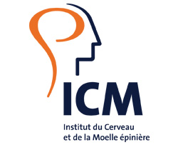 ICM